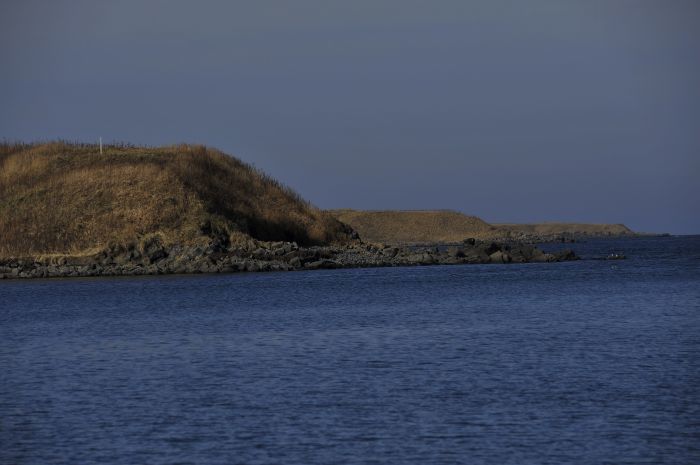 a0248182_11001830.jpg