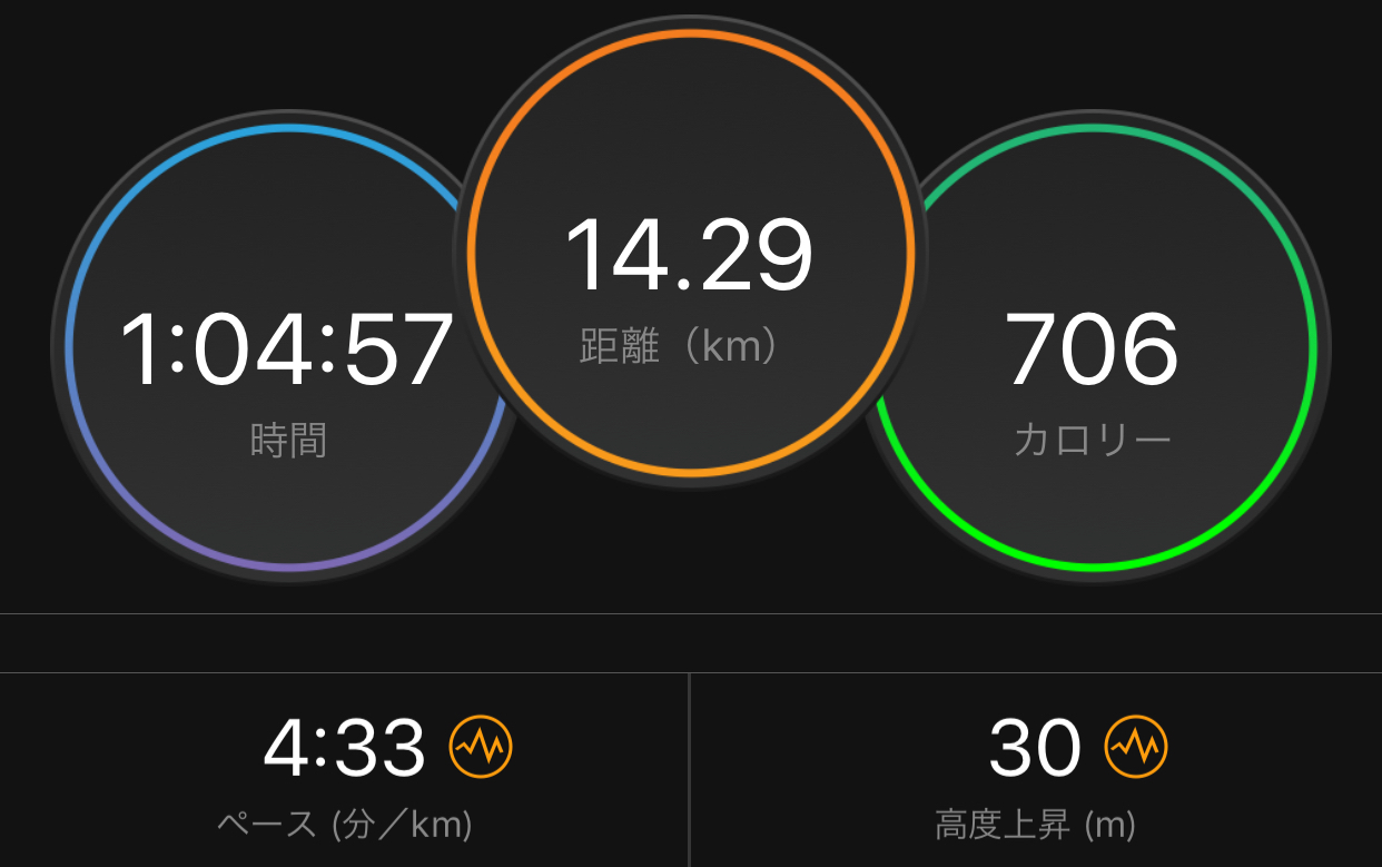 明日の5,000mに向けて視界不良!_f0310282_15514034.jpeg