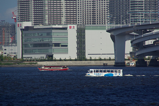 b0066893_823598.jpg