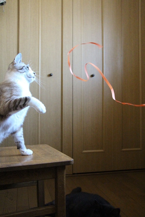 あ~~~!_a0333195_11121228.jpg