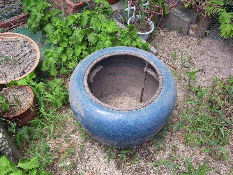 f0325295_13275714.jpg
