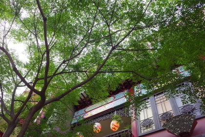 f0103797_08201271.jpg
