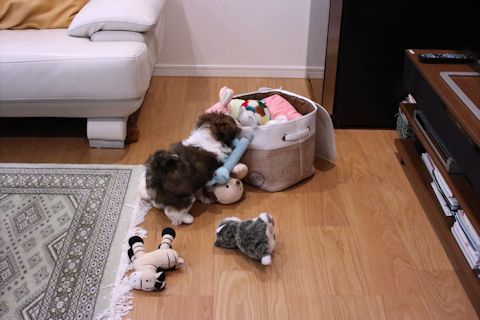 c0090198_18390355.jpg