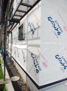 c0039501_08021593.jpg