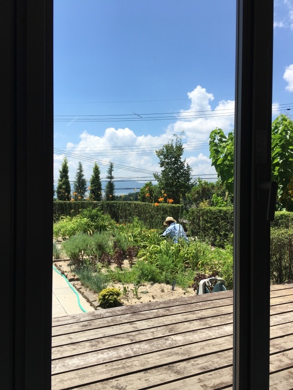 藪萱草_b0220002_08512453.jpeg