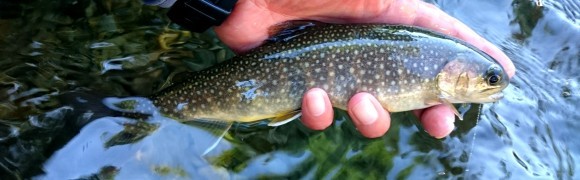 f0266202_15463610.jpg