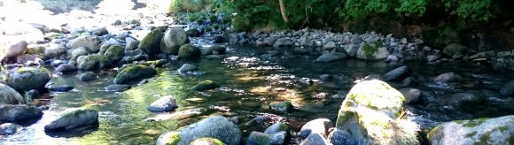 f0266202_15464823.jpg
