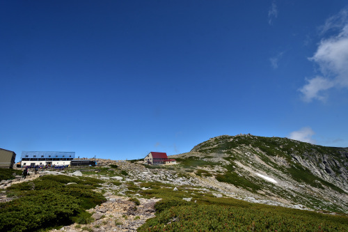 初夏の千畳敷カール お花求めて山歩き 18年7月 千畳敷 木曽駒ヶ岳 殿様な山歩き