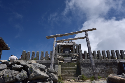 初夏の千畳敷カール お花求めて山歩き 18年7月 千畳敷 木曽駒ヶ岳 殿様な山歩き