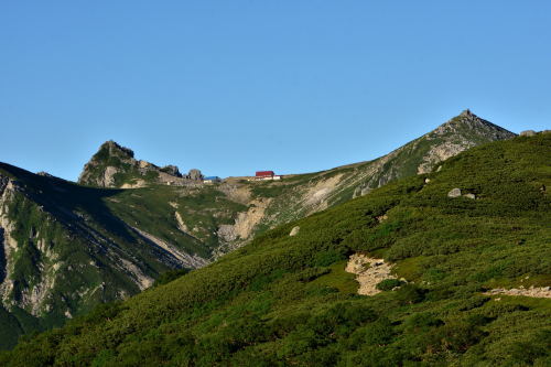 西駒山荘泊りで将棋の山に行ってきた～2018年7月 将棊頭山＋将棊ノ頭_d0372906_18113476.jpg