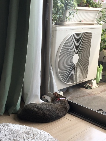 c0109109_14045430.jpeg