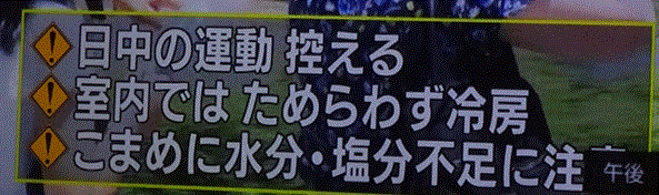 f0231709_20594311.gif