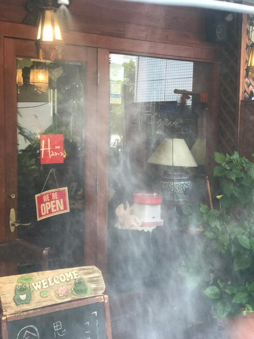 ミストの誘惑_a0037910_13411346.jpg