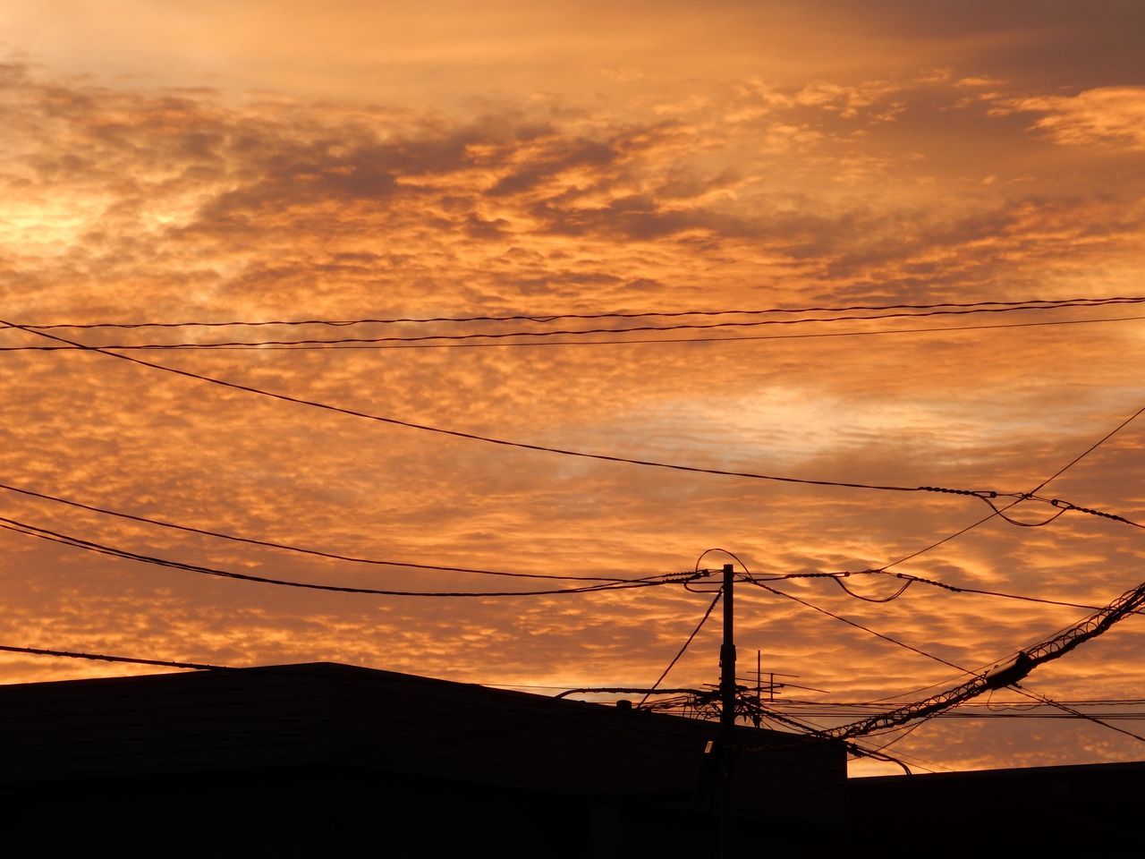 もう秋の空?_c0025115_21181775.jpg