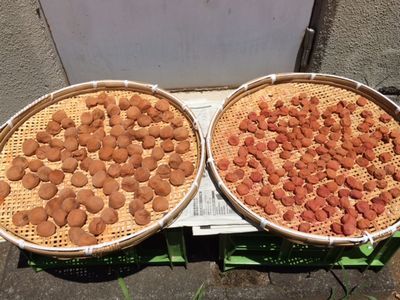 梅干してます_e0234016_18162065.jpg