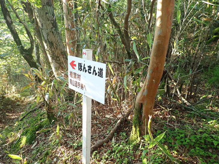 f0193521_20312888.jpg