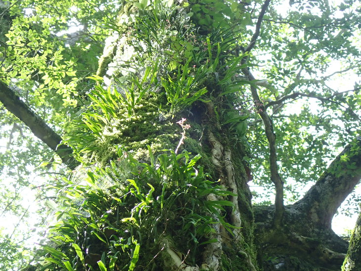 f0193521_4233464.jpg