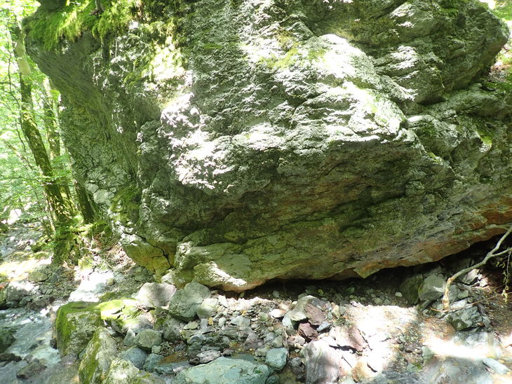 f0193521_4354134.jpg