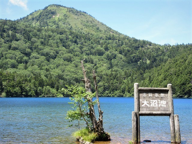 上信越 志賀高原で池めぐり 大沼池 木戸池 Mount Shiga And Many Lakes In Jōshin Etsu Kōgen National Park やっぱり自然が好き