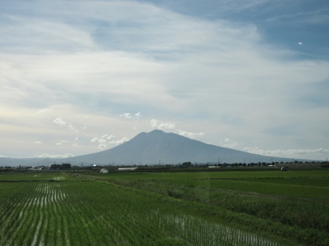 f0149422_21330844.jpg