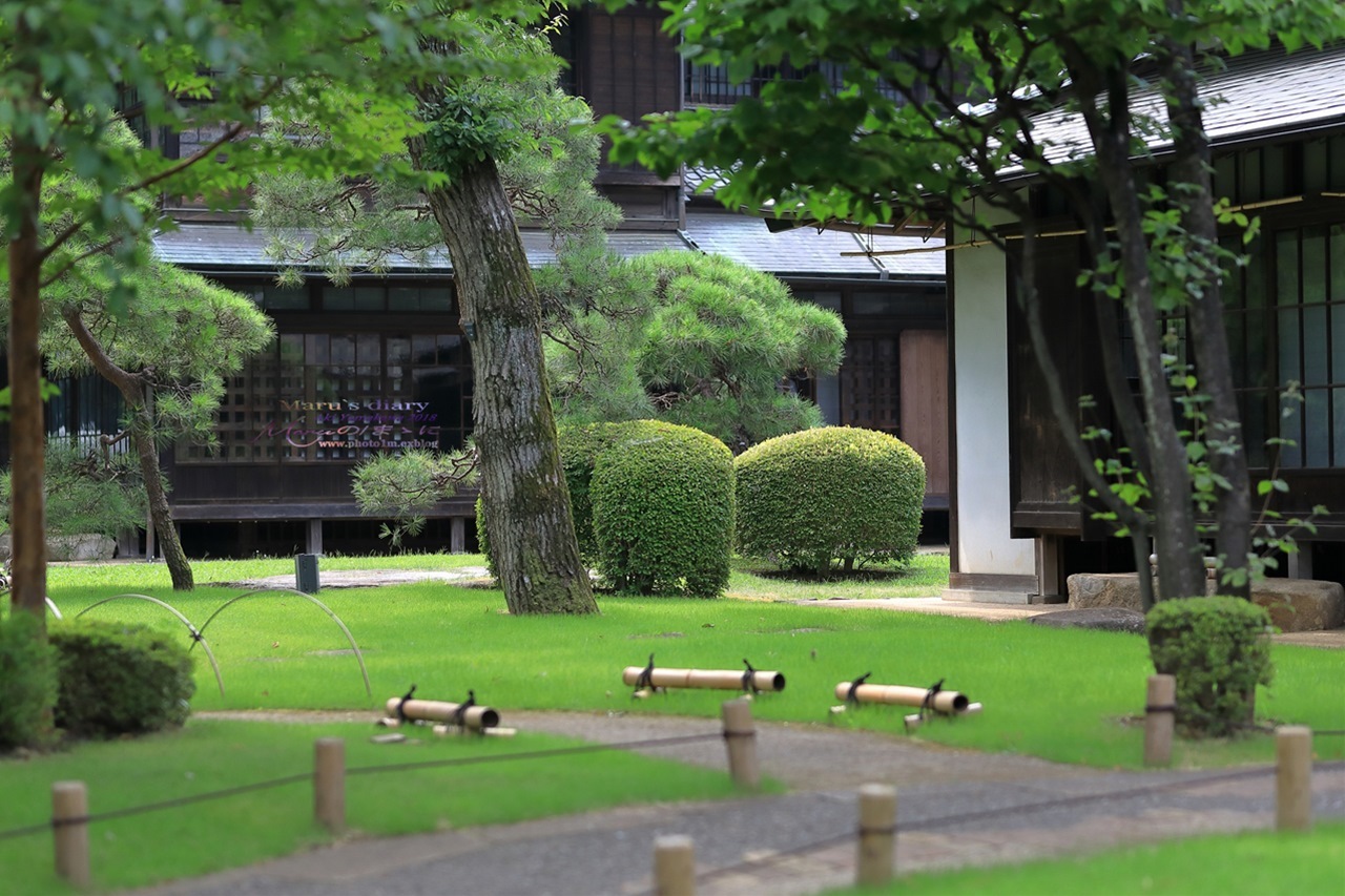 まゝに/7月の散策 古民家園再訪_d0342426_22194819.jpg