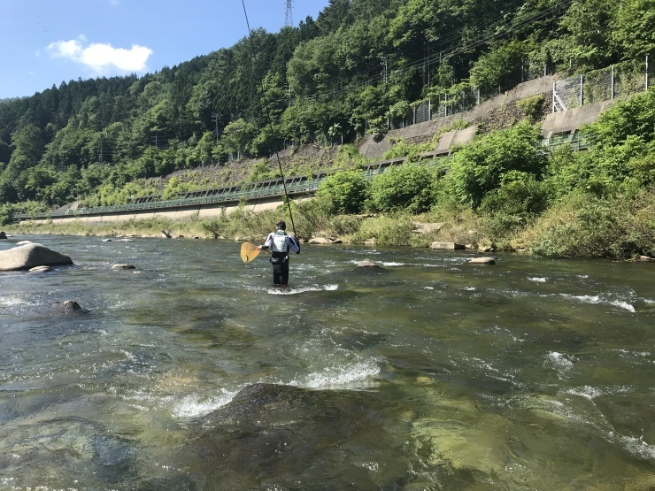 d0172227_23520447.jpeg