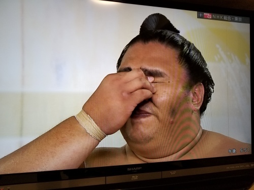 つまらないブログ_e0016828_11032790.jpg