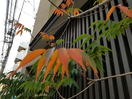 つまらないブログ_e0016828_11034631.jpg