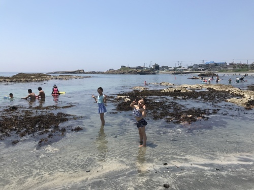 b0132630_17103025.jpeg