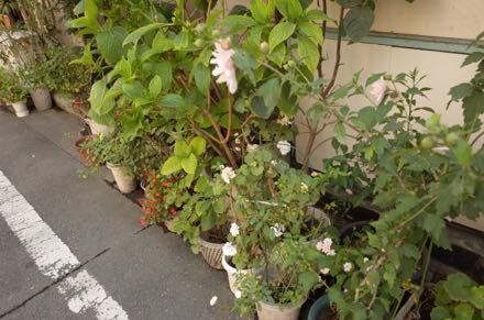f0132230_07310983.jpg