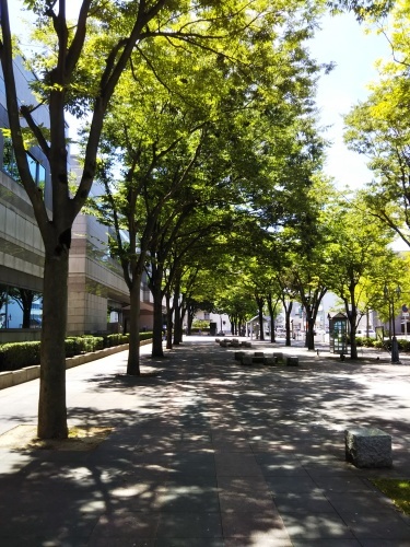 e0166734_22210321.jpg