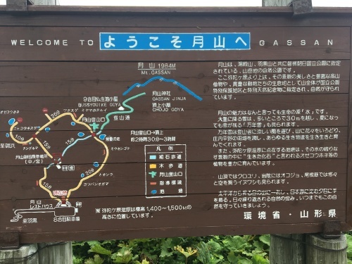 b0330040_01221880.jpeg