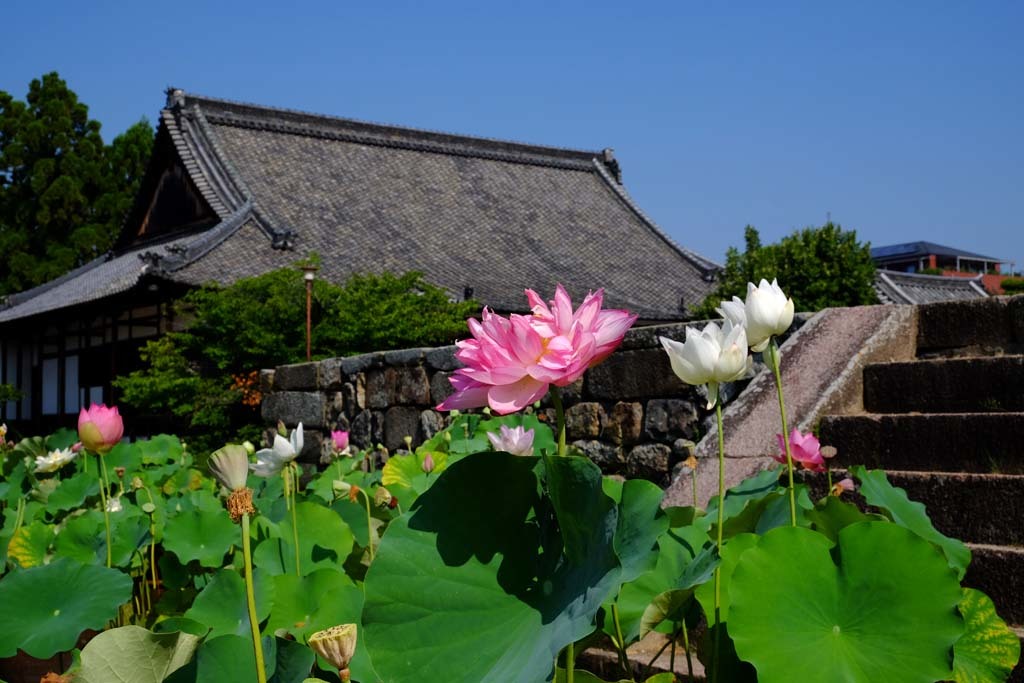 d0250840_00001642.jpg