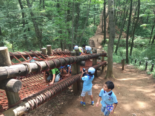 2018/07/22 ハイキング&アスレチック_a0373441_20034439.jpg