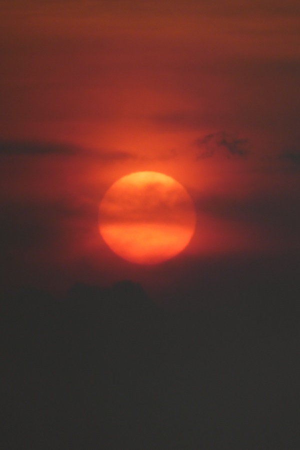 d0288144_20594930.jpg