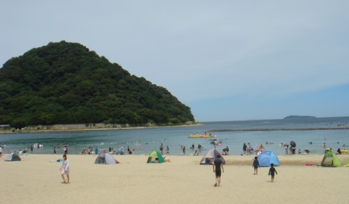 なぜ菊ヶ浜と呼ばれるの?_f0101949_14063569.jpg