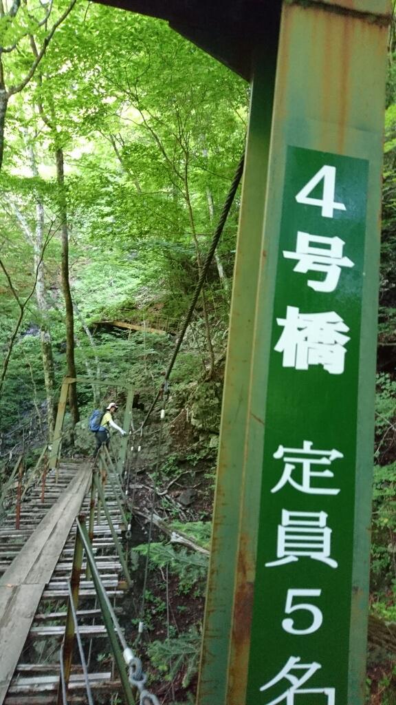 南ア：光岳　1日目（畑薙大吊橋〜茶臼小屋〜上河内岳〜茶臼小屋）_b0148050_21040935.jpg