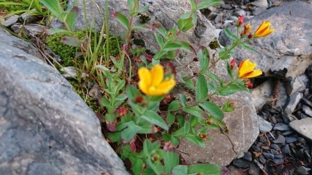 b0148050_22020305.jpg