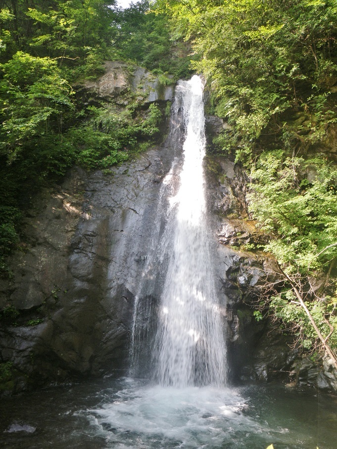 a0286351_17143550.jpg