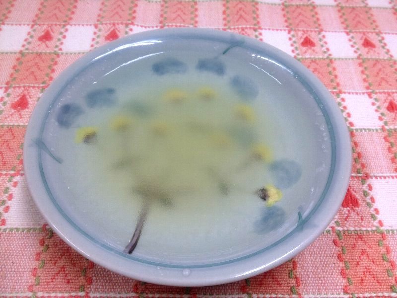 ☆ブルーベリーのミルクゼリー☆_c0092953_08231775.jpg