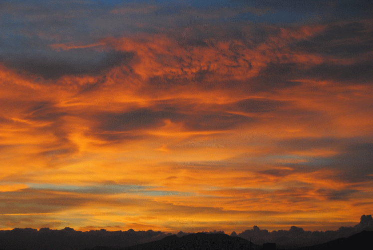 a0001354_23154921.gif