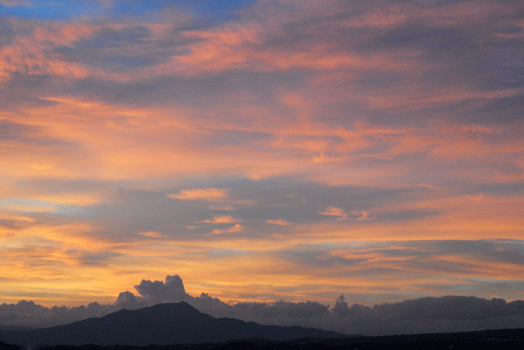 a0001354_23155880.gif