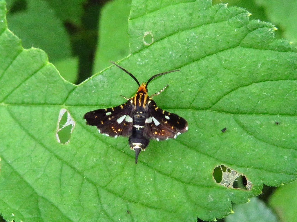 a0018655_10143669.jpg