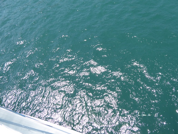 c0222861_206837.jpg