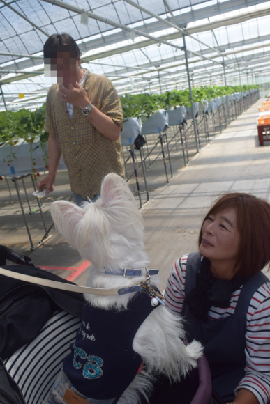 b0242873_00421910.png