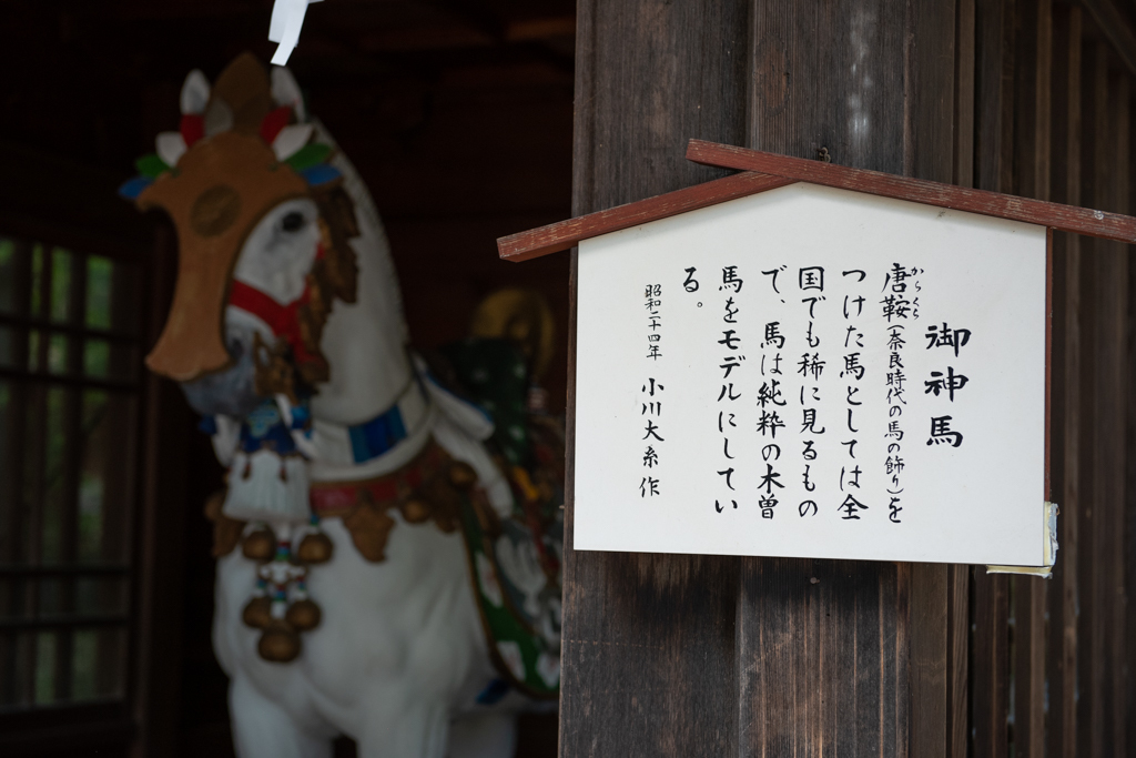 2018 夏遊び2日目・自転車日和・ 安曇野のほほんサイクリング_b0247073_15323874.jpg