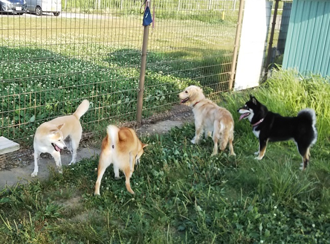 f0230777_06554874.jpg