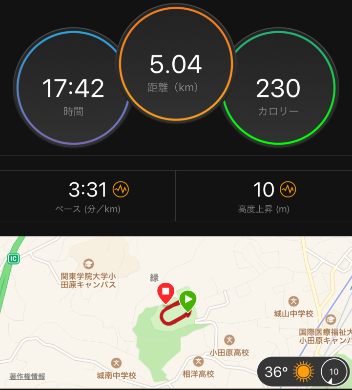 【生還&超絶凡走!】小田原市民総体5,000m_f0310282_15021509.jpeg