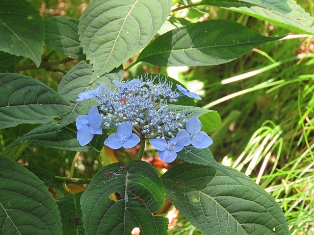 f0357487_14585177.jpg