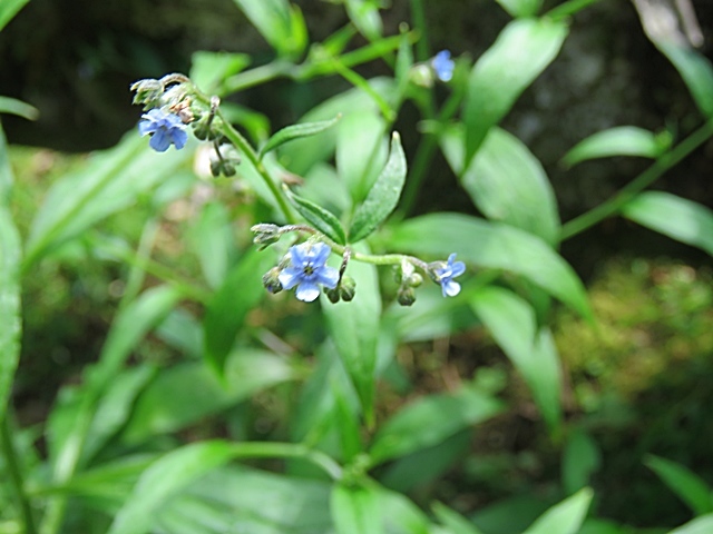 f0357487_15001886.jpg